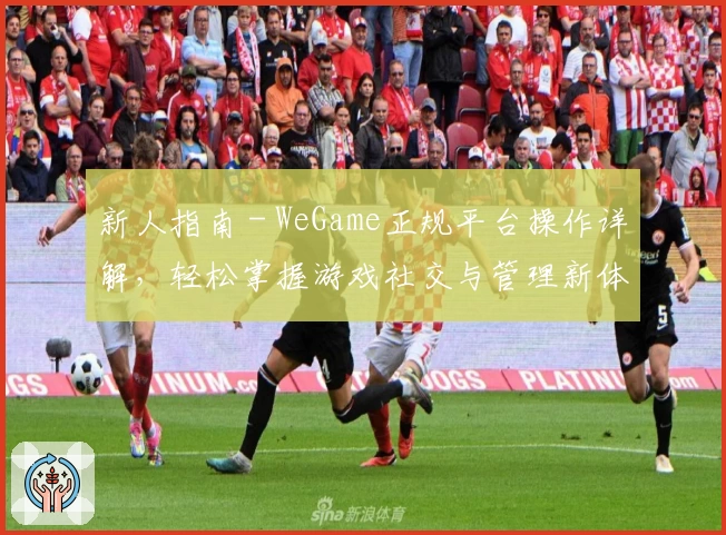 新人指南 - WeGame正规平台操作详解，轻松掌握游戏社交与管理新体验