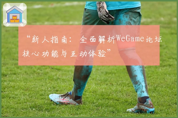 “新人指南：全面解析WeGame论坛核心功能与互动体验”